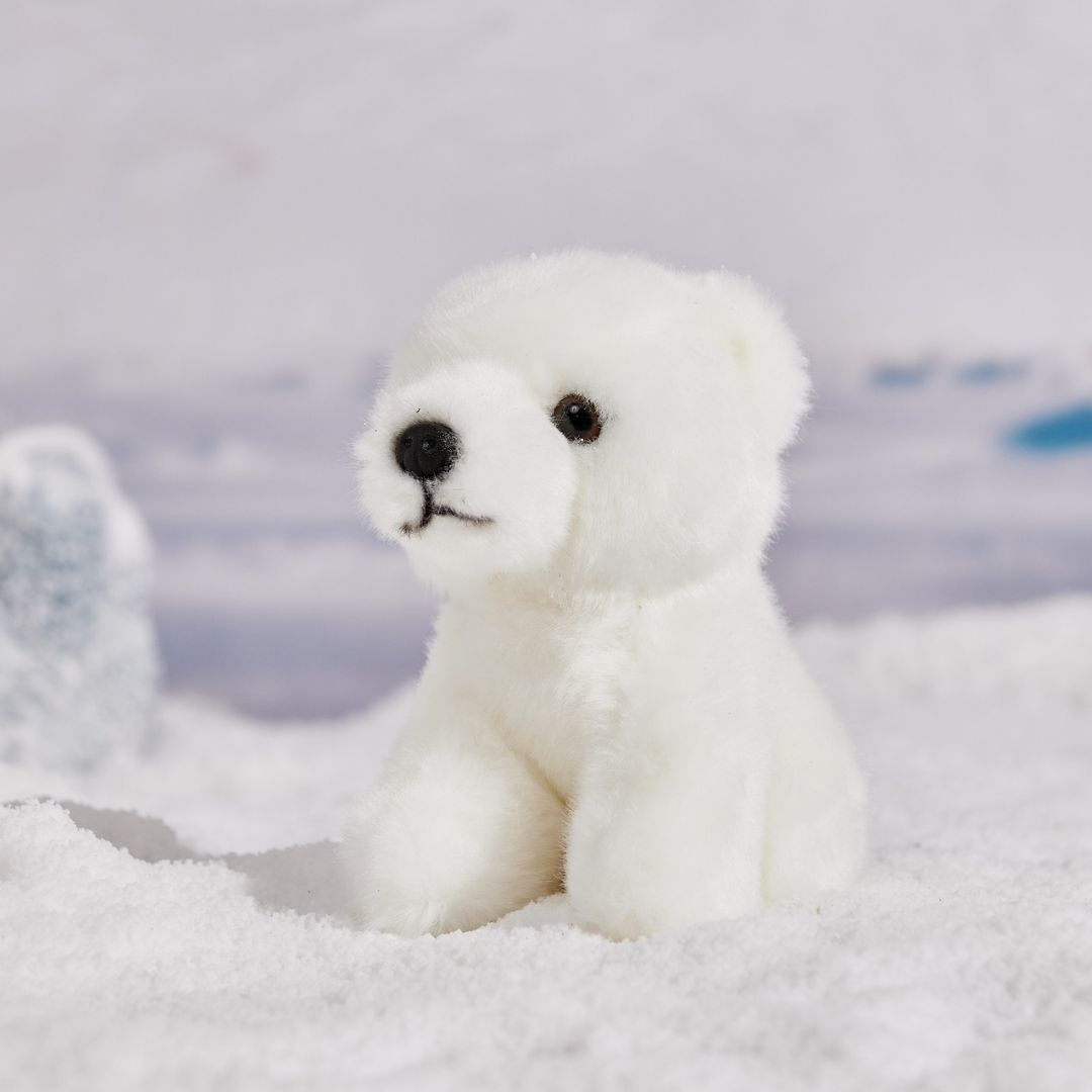 Polo bear 2025 pet